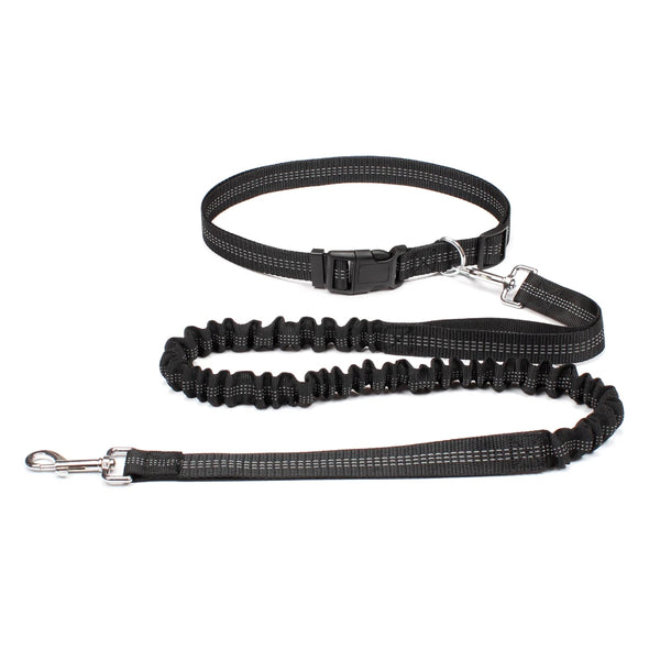 Laisse mains-libres pour chien coloris Noir avec ceinture running réglable | Douce Patte