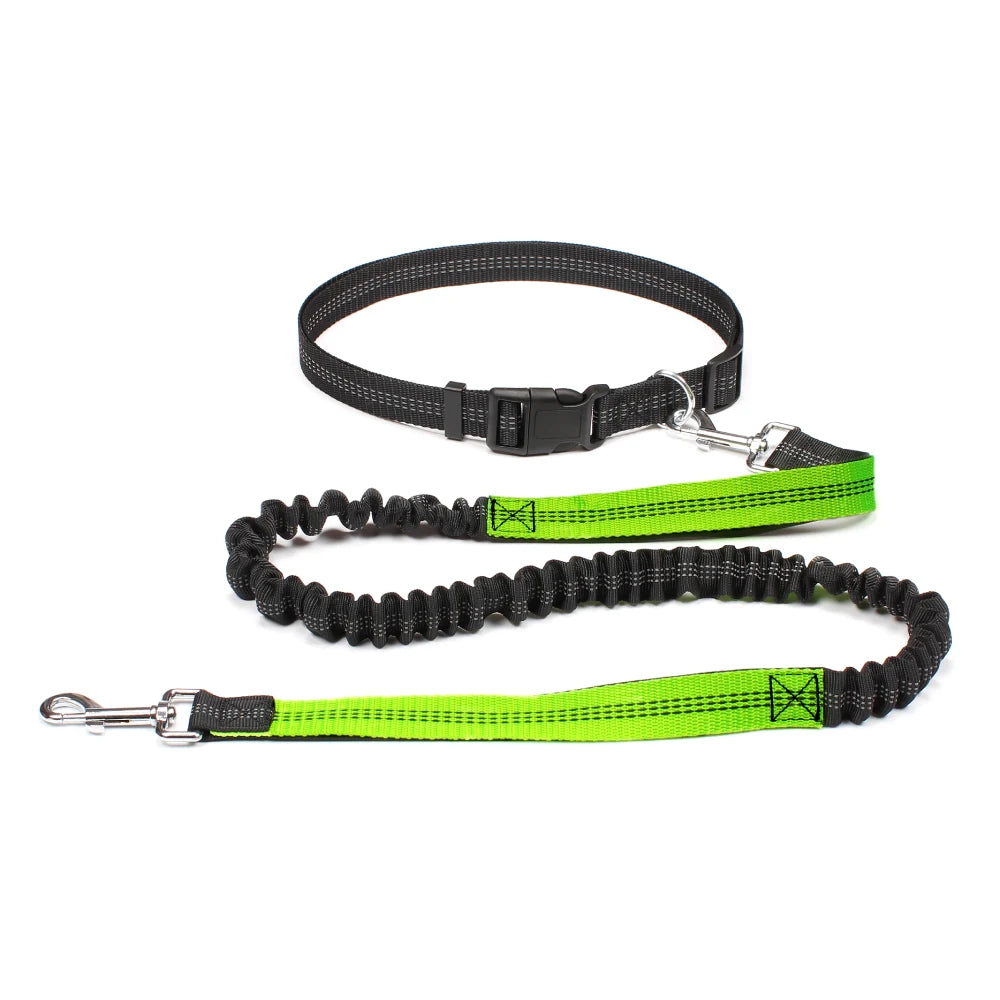 Laisse mains-libres pour chien – Ceinture running réglable & laisse élastique réfléchissante