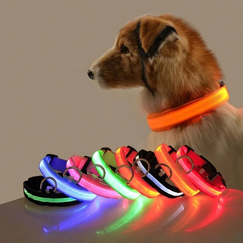 Collier LED lumineux pour chien et chat – Sécurité nocturne, 3 modes clignotants