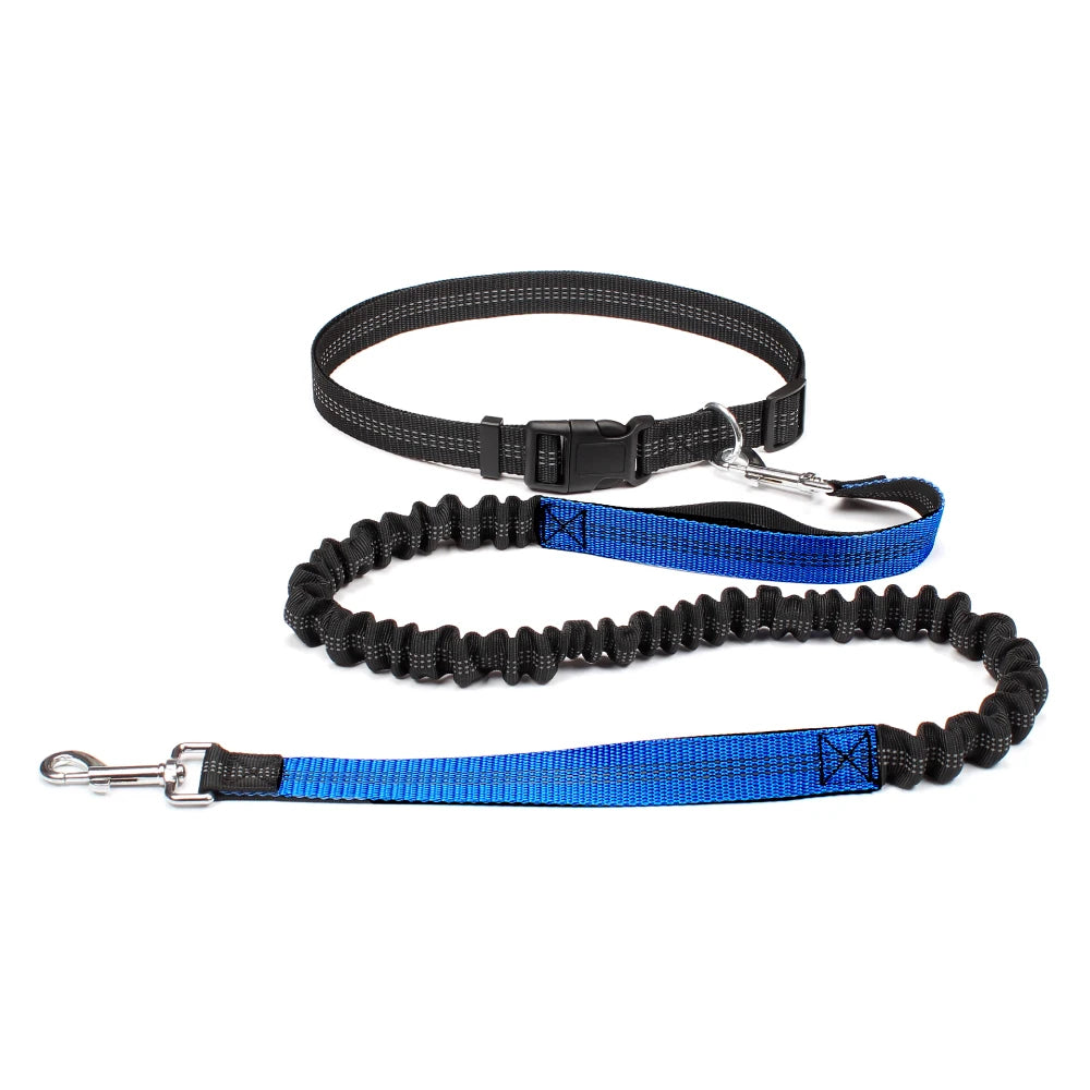 Laisse mains-libres pour chien – Ceinture running réglable & laisse élastique réfléchissante