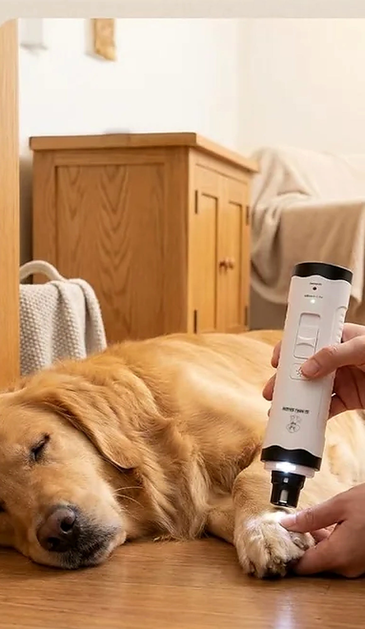 Lime à griffes électrique pour chien et chat – Meuleuse silencieuse à double LED