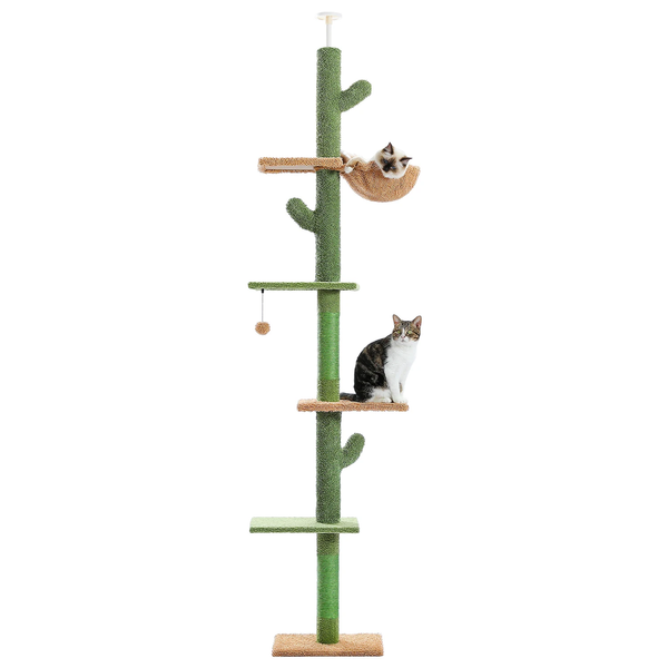 Arbre à chat cactus du sol au plafond avec deux chats