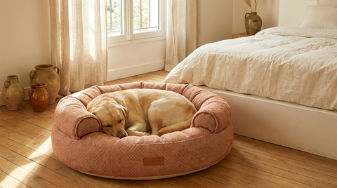 Beds &amp
