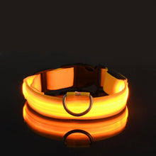 Collier LED lumineux pour chien et chat – Sécurité nocturne, 3 modes clignotants — vue 6