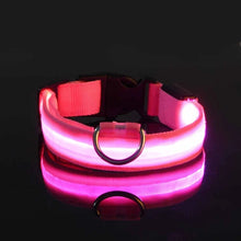Collier LED lumineux pour chien et chat – Sécurité nocturne, 3 modes clignotants — vue 7