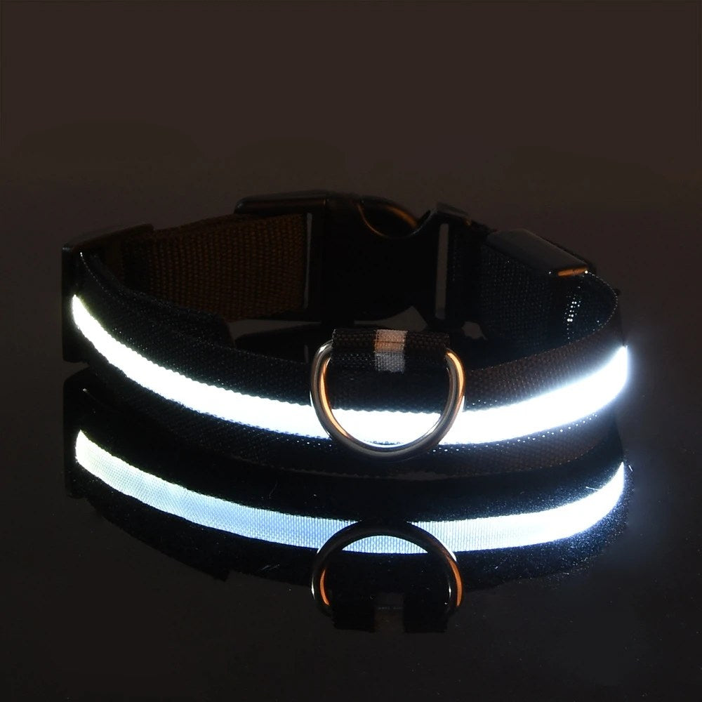 Collier LED lumineux pour chien et chat – Sécurité nocturne, 3 modes clignotants