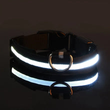 Collier LED lumineux pour chien et chat – Sécurité nocturne, 3 modes clignotants — vue 8