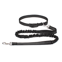 Laisse mains-libres pour chien – Ceinture running réglable & laisse élastique réfléchissante