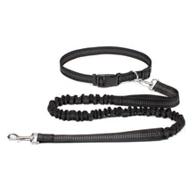 Laisse mains-libres pour chien – Ceinture running réglable & laisse élastique réfléchissante — vue 1