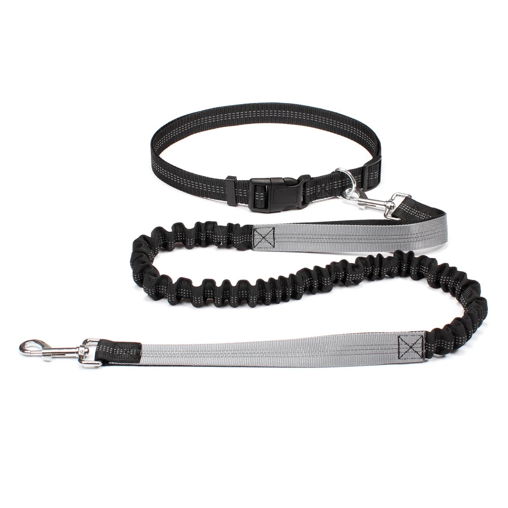 Laisse mains-libres pour chien – Ceinture running réglable & laisse élastique réfléchissante