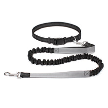 Laisse mains-libres pour chien – Ceinture running réglable & laisse élastique réfléchissante — vue 4