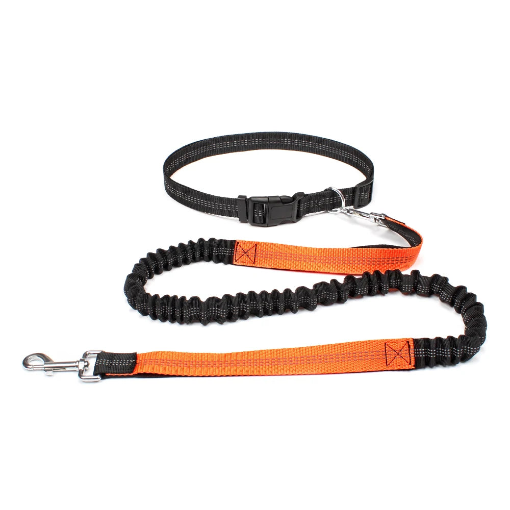 Laisse mains-libres pour chien – Ceinture running réglable & laisse élastique réfléchissante