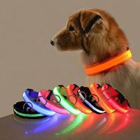 Collier LED lumineux pour chien et chat – Sécurité nocturne, 3 modes clignotants