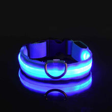 Collier LED lumineux pour chien et chat – Sécurité nocturne, 3 modes clignotants — vue 2