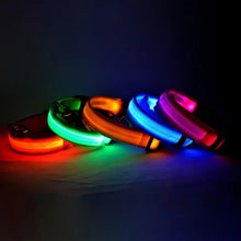 Collier LED lumineux pour chien et chat – Sécurité nocturne, 3 modes clignotants — vue 9