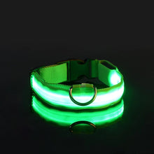 Collier LED lumineux pour chien et chat – Sécurité nocturne, 3 modes clignotants — vue 3