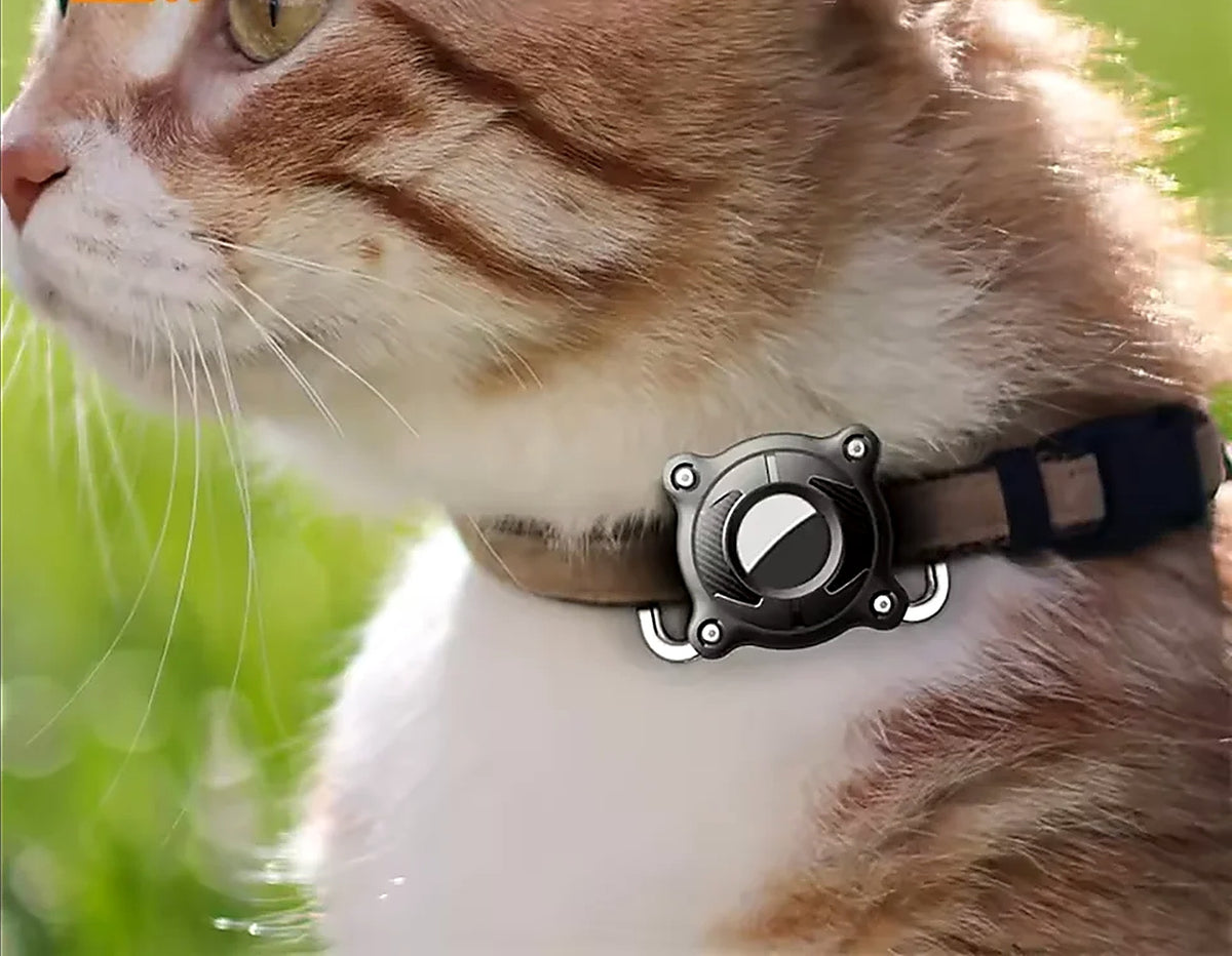 Support de collier pour AirTag – Étanche, chien et chat