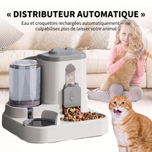 Distributeur de croquettes et d'eau 2-en-1 pour chien et chat — vue 4