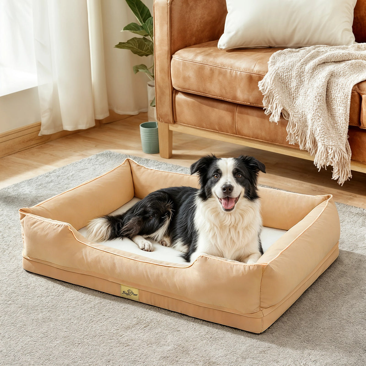 Canapé-lit orthopédique pour chien — Barnabé