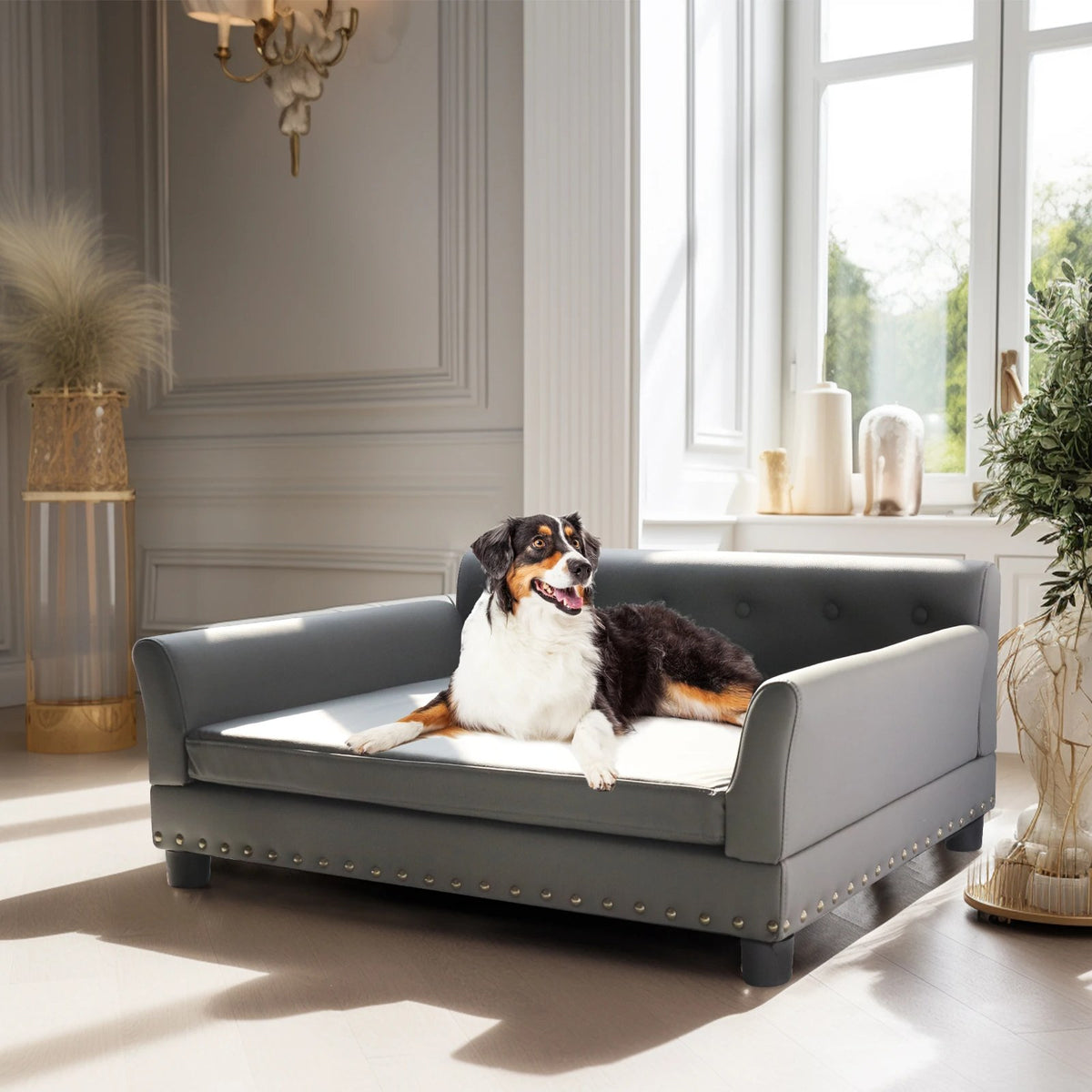 Canapé pour chien en simili-cuir — Édouard
