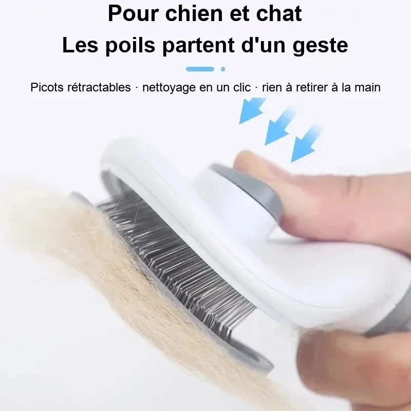 Brosse auto-nettoyante pour chien et chat – Picots rétractables, poils retirés d'un clic