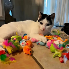 Coffret de 28 jouets pour chat – Souris à plumes, balles à grelot et ressorts — vue 2