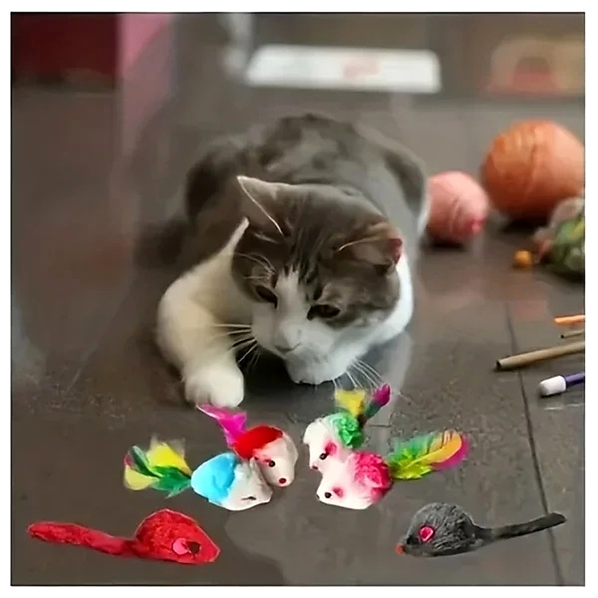 Coffret de 28 jouets pour chat – Souris à plumes, balles à grelot et ressorts