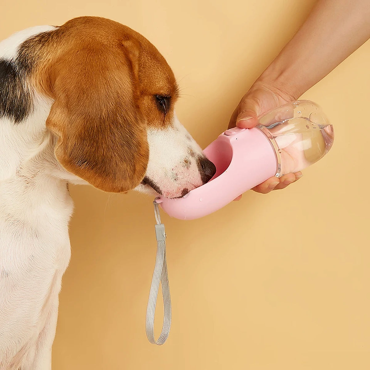 Gourde de promenade 550 ml pour chien – Bec-auge et bouton anti-gaspillage
