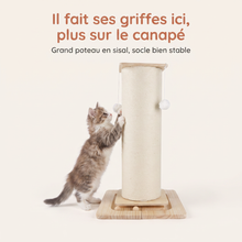Griffoir sur pied 80 cm — Marcel — vue 2