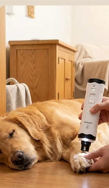 Lime à griffes électrique pour chien et chat – Meuleuse silencieuse à double LED — vue 3