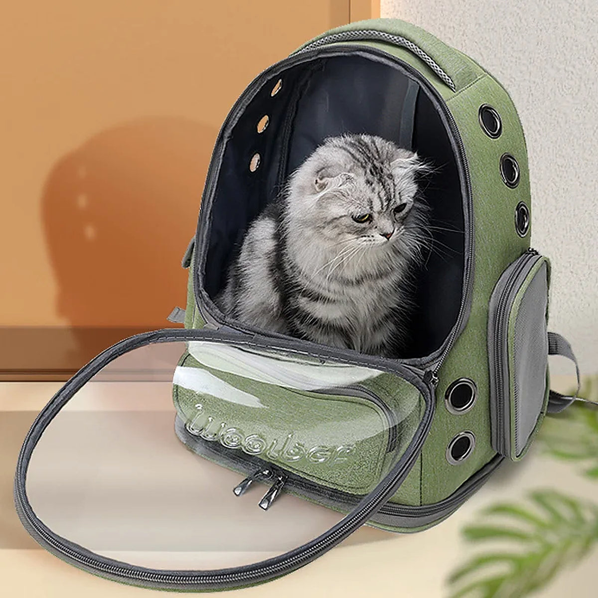 Sac à dos de transport à bulle pour chat et petit chien – Façade panoramique transparente