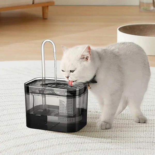 Chat blanc buvant à la fontaine à eau 1,5 L Douce Patte