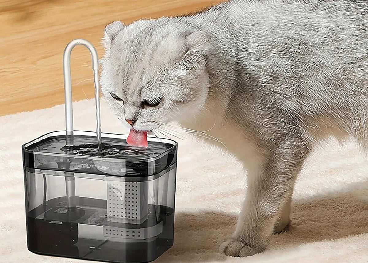 Fontaine à eau pour chat 1,5 L – Silencieuse, filtre inclus