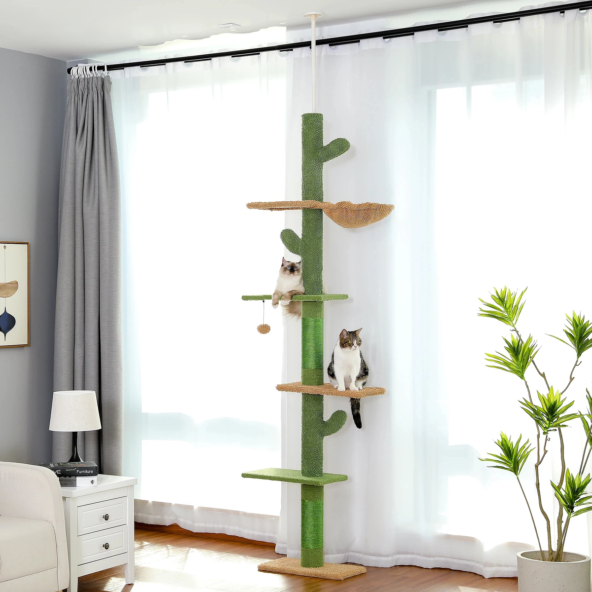 Arbre à chat cactus du sol au plafond — 5 niveaux, hamac & griffoirs sisal