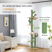 Arbre à chat cactus du sol au plafond — 5 niveaux, hamac & griffoirs sisal — vue 4