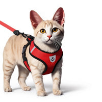 Harnais anti-fugue pour chat + laisse – Balade en toute sécurité