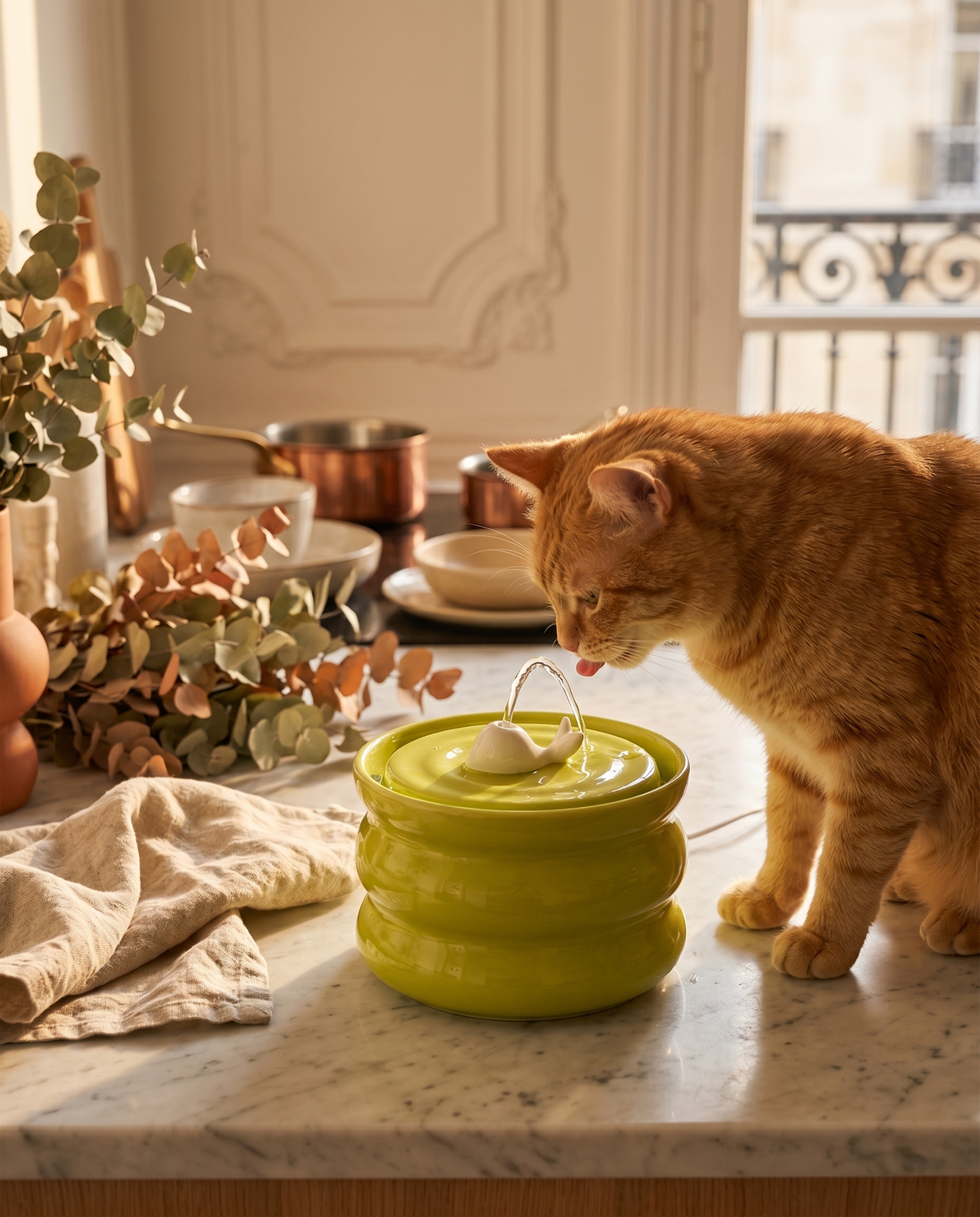 Fontaine à eau en céramique pour chat et chien – Silencieuse 800 ml