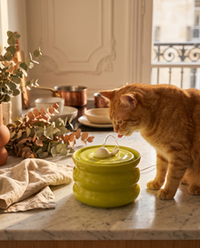 Fontaine à eau en céramique pour chat et chien – Silencieuse 800 ml — vue 2