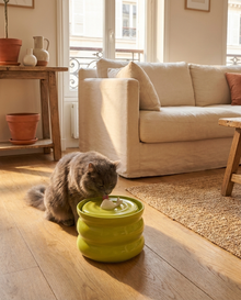 Fontaine à eau en céramique pour chat et chien – Silencieuse 800 ml — vue 5