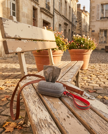 Distributeur de sacs à déjection pour chien – Porte-sac clipsable — vue 4