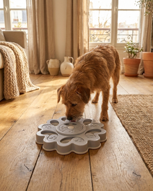 Jouet distributeur de friandises pour chien – Puzzle anti-ennui — vue 5