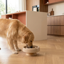 Gamelle anti-glouton en céramique pour chien et chat – Mange-lentement — vue 2