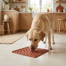 Tapis de léchage anti-stress pour chien et chat – Slow feeder — vue 7