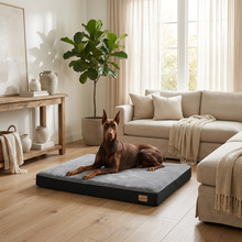 Lit orthopédique pour chien — Auguste — vue 2
