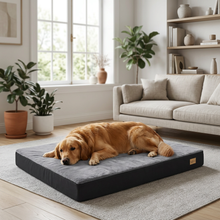 Lit orthopédique pour chien — Auguste — vue 3