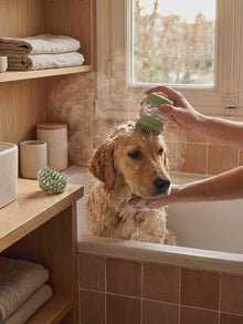 Brosse de bain en silicone à réservoir de shampoing – Chien et chat — vue 2